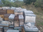 Vends lot entier de ruches Dadant
