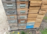 Haussettes et chasse-abeilles 