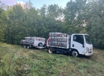 Camion Isuzu