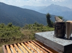 Miel de montagne des Pyrénées 2025