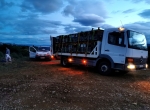 Camion plateau 