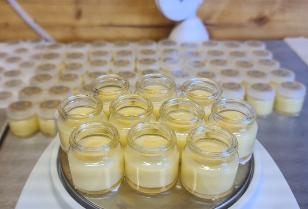 Gelée royale AB et GRF (1 200 € à 1 700 € HT/kg)