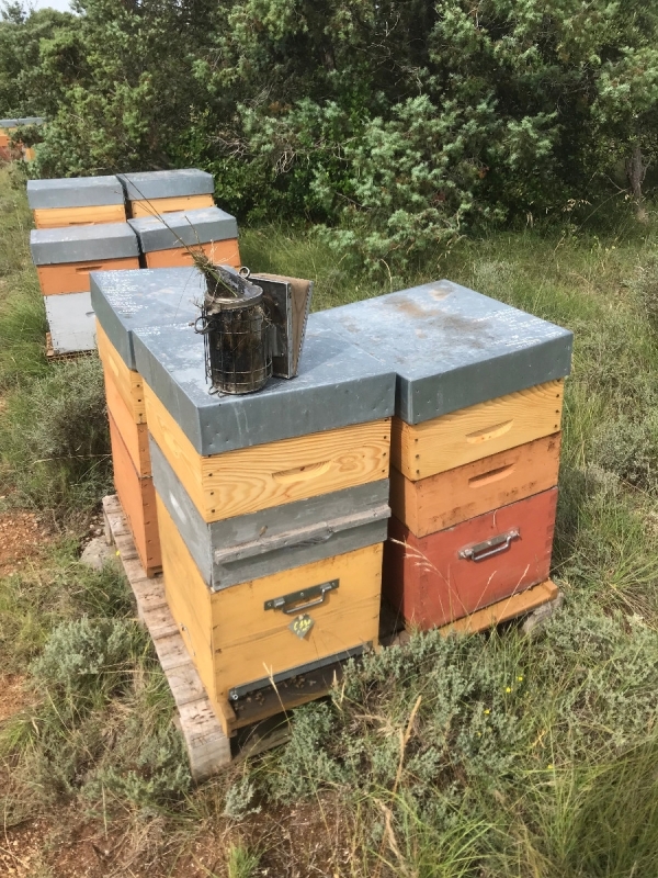 Exploitation apicole Bio