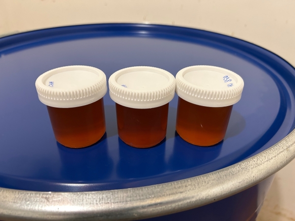 Miel de châtaignier 2025 à vendre