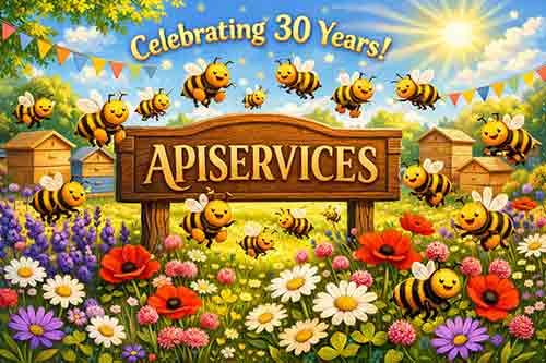 apiservices 30 birthday