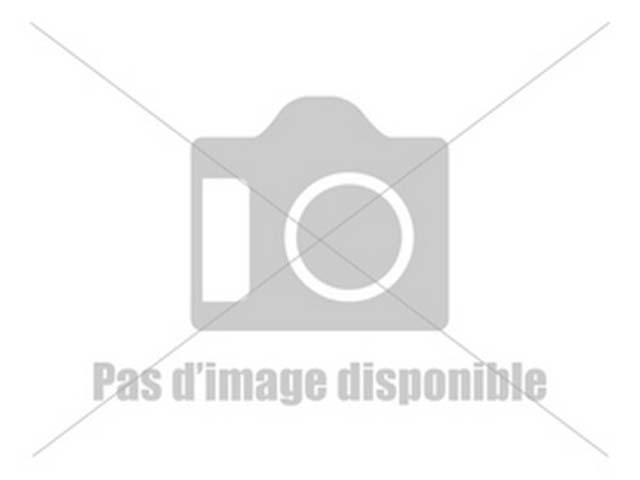 Miel de fleurs 